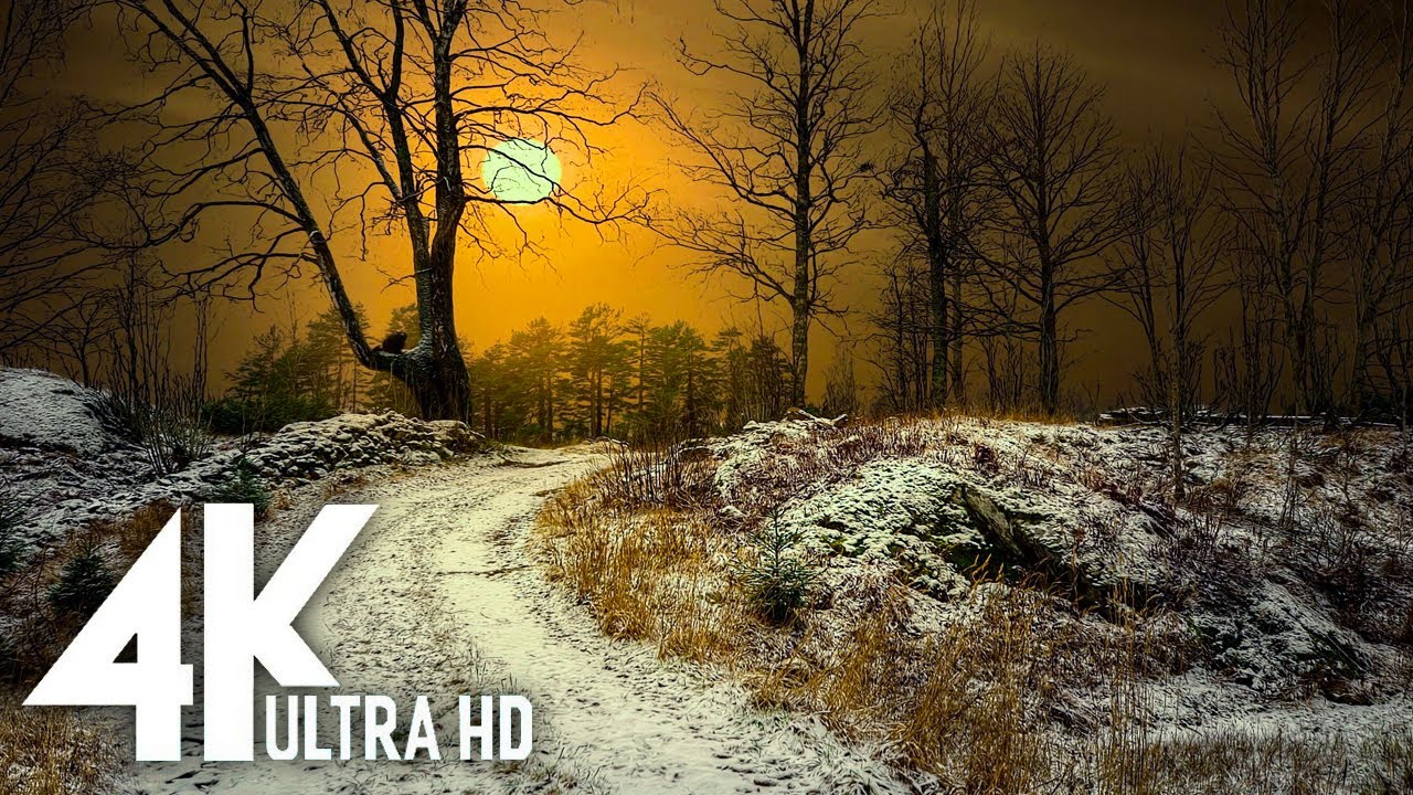 4K UHD Extraordinary Relaxing Nature Video with Music | Soothing Relaxation™