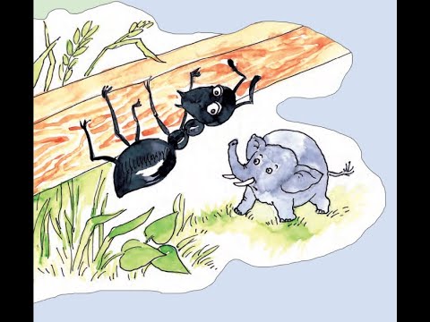 სპილოს ინტერვიუ ჭიანჭველასთან  Filin qarışqa ilə müsahibəsi