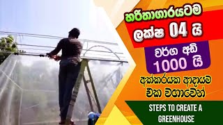 HOW MAKES GREEN HOOUSE AT LOW COST , ආරක්ෂිත ව්‍යුහයක් සකස් කිරීමෙ පියවර,BST Saman, Biosystems Tech