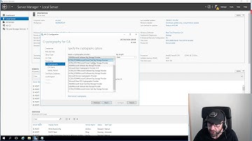 Denmode PKI Setup: Elliptic Curve CA