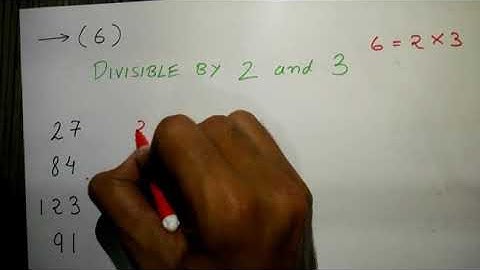 2.  Prime Numbers & Divisibility Test