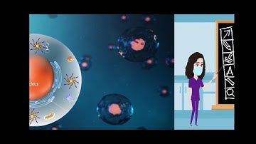 Hend Alfadul Video from the KAUST WEP 2021 Video Competition