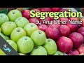 Segregation by Any Other Name | American Education