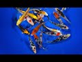 4-5" Premium Grade Koi from Blue Ridge Koi