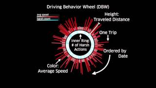 A Study of using Motion for Comparative Visualization