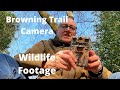 Browning Recon Force Edge Trail Camera