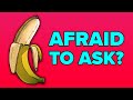 Freaky Facts About Foreskin