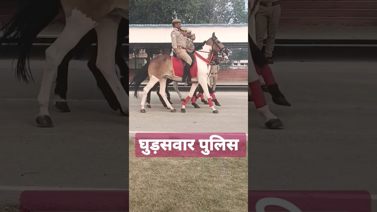 ऊ०प्र० घुड़सवार पुलिस।traning में मस्ती🤣🤣 