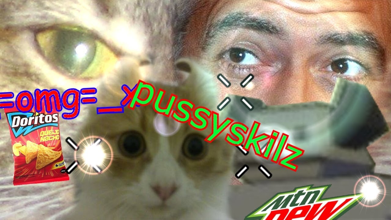 HOW 2 CAT - X_$WagfЯ@kMmM0ntaGe_X1335