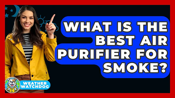 What Is The Best Air Purifier For Smoke? - Weather Watchdog