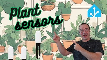 Mijia plant sensor in Home Assistant! Now I can FINALLY keep house plants!
