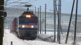列車番号4075 EF510-511 羽越本線(岩船町~村上)::::60P