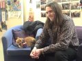 James Bowen & Bob chat cats