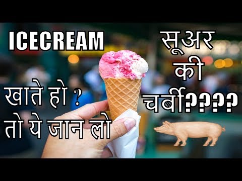 amul-ice-cream-में-सूअर-की-चर्बी-इस्तेमाल-की-जाती-है-या-नहीं-?-ये-हराम-है-या-हलाल-है-?-#amulicecream