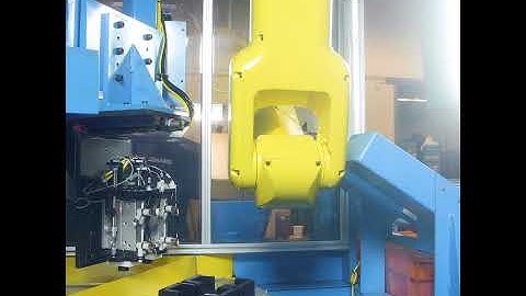 Robotic Sorting Machine - Trillium Machine and Tool Windsor Ontario