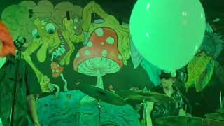 mazar - moss (Bullys Studios) 07-12-24