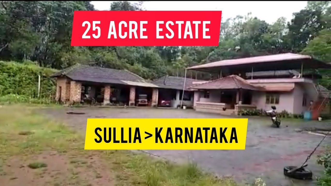 25 Acre Rubber Areca Estate For Sale Sullia Karanataka YouTube