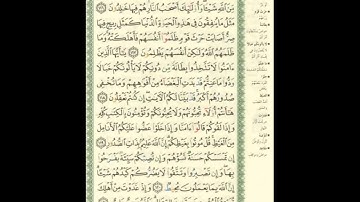 الورد اليومى.. سورة آل عمران من الاية 116 الى الاية 121 بصوت القارئ الشيخ ماهر المعيقلى