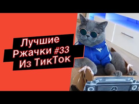 ПРИКОЛЫ ИЗ ТИК ТОК  РЖАЧКИ ИЗ ТИК ТОК ЛУЧШИЕ ПРИКОЛЫ 2021 ПРИКОЛЫ С ЖИВОТНЫМИ ИЗ ТИК ТОК