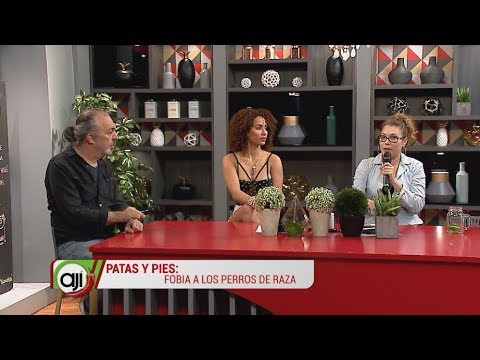 Patas y pies: Fobia a los perros de raza - YouTube NEX Panamá