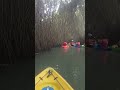 Deep Dive into The Mangrove Forests of Varkala - Kayaking..!
