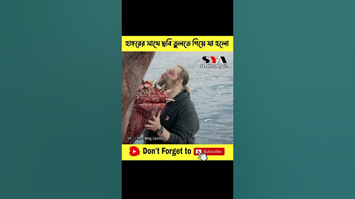 হাঙ্গরের 🦈 সাথে ছবি তুলতে গিয়ে যা হলো 😨 #shorts #shortsvideo