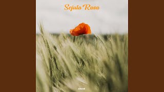 Sejuta Rasa instrumental Version