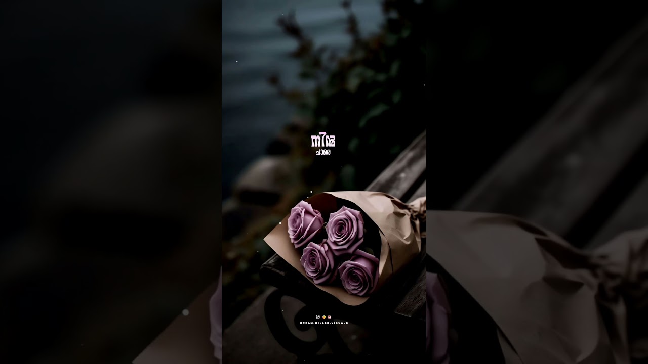 New whatsapp status, New malayalam lyrical status, #album #new #reels #song #love #status #shorts