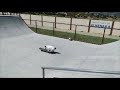 Jack Russel Terrier Skateboarding in a Sunny Day