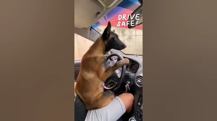 'he's actually looking for parking space to park 😂😂🤣 #shorts #tiktok