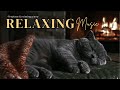 Meditation &amp; Relaxation Music with Fireplace Ambience