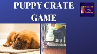 How To Crate Train A Puppy Playing Crate Games