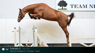 32 Tamara Z (Toemme de Regor Z x Armitage) mare, 2023 - TN x WS 2026