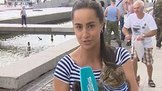День ВДВ. Прямое включение ( с кошкой) День ВДВ. Прямое включение ( с кошкой)