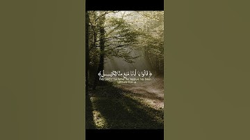 اكتب شيء تؤجر عليه 🤲❤️ || #القرآن_الكريم #قرآن #تلاوة_خاشعة #سورة_يوسف  #المصحف #اكسبلور #اسلام