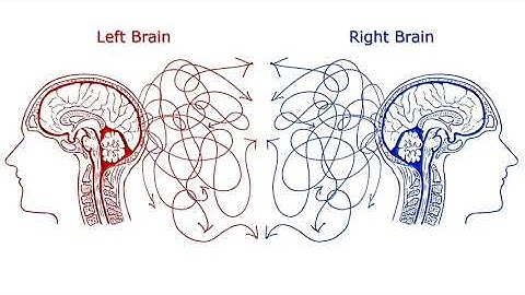 Debunking the Myth about Left Brain / Right Brain Thinking