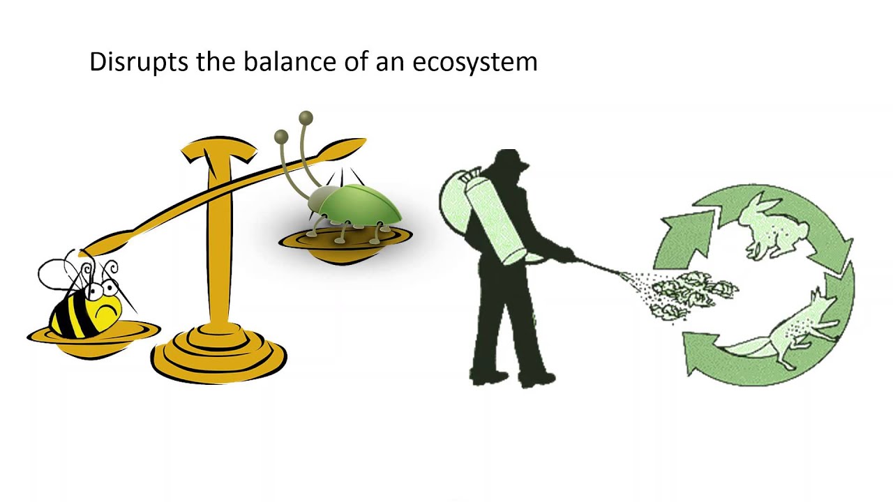 Pesticides The Pros and Cons YouTube