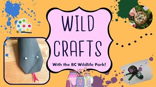 Cardboard Rubber Boa Craft by BC Wildlife Park Kamloops 21 views 1 year ago 1 minute, 57 seconds