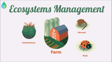 Ecosystem management - WELS (Waterpedia Environmental Learning Series)