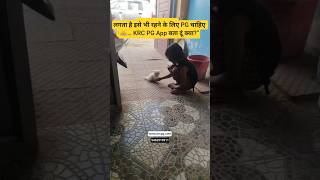 😻 Cutest Persian Kitten Playing Ever! You’ll Melt ❤️ #shorts #krcpgapp #pginjaipur #hostel #krcpg