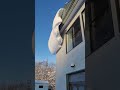 寝て待っても落ちないので自分で雪落としました🌈 #屋根雪落とし