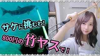 800円の竹ヤスでサケ獲れると思います？　一般的な竹ヤス対象魚たちも獲ってみたわ！