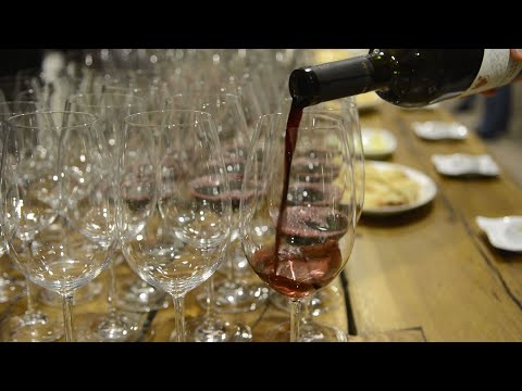 აჭარაში მოქმედი გიდები ღვინის თემატიკაზე ტრენინგებსა და ვორქშოპებს კახეთში ესწრებიან