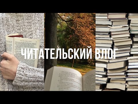 читательский влог: никогде, изумительный мистер лис