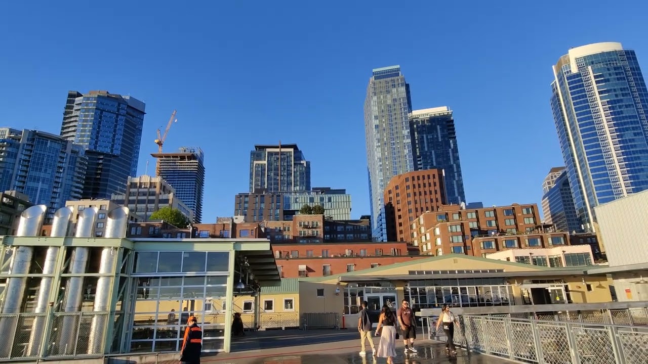 The Seattle great wheel 🎡, Mount Rainier and the building in downtown from the pike place market