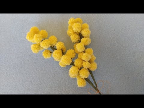 Mimosa fai da