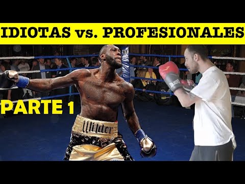 Top 10 Idiotas Que Retaron a Peleadores Profesionales