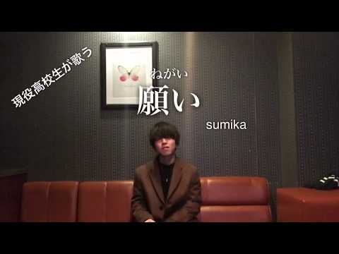 【現役高校生が歌う】願い　sumika