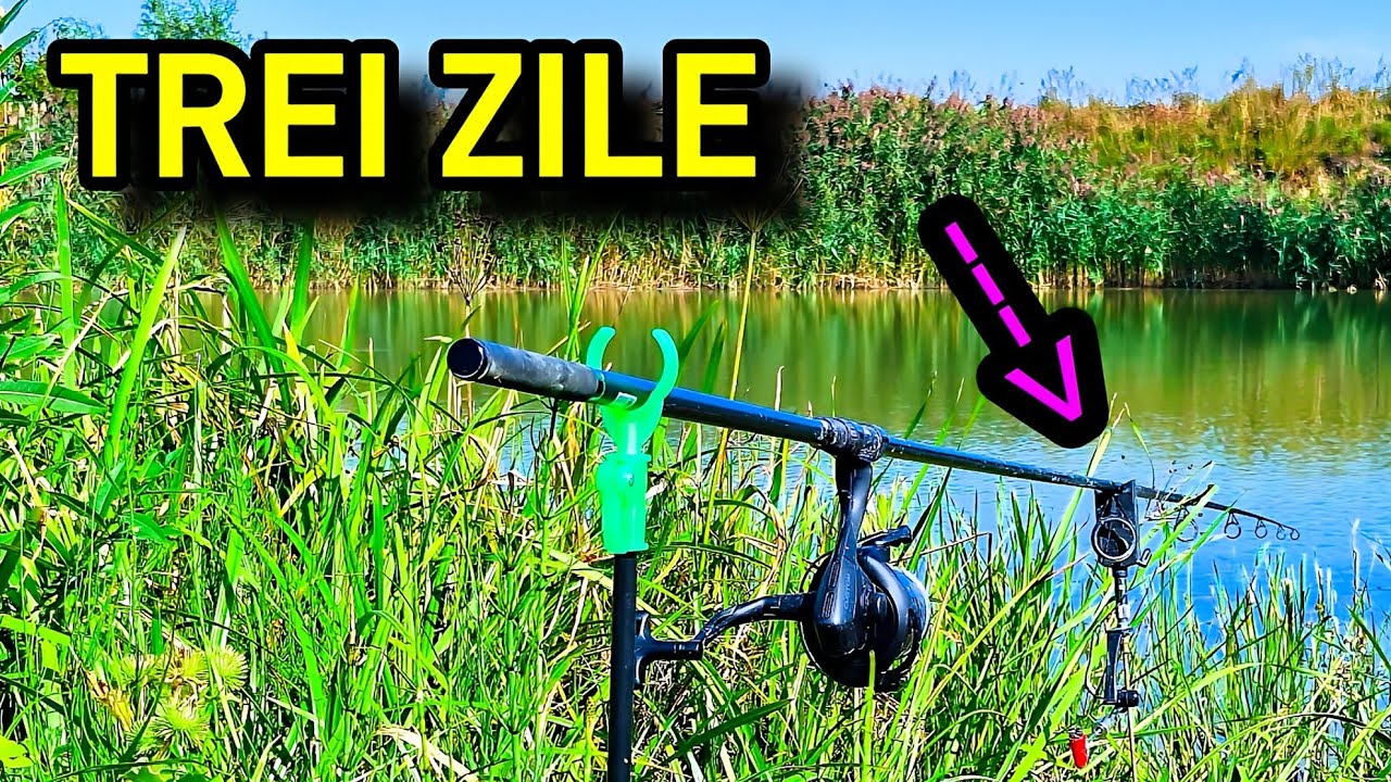 AM STAT TOAMNA LA PESCUIT TREI ZILE CU CORTUL DUPA CRAP, STIUCA SI CARAS