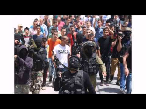 الشهيد رأفت عويس